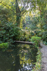 Botanical garden, Tropical Spice Garden in Teluk Behang, Pulau Pinang, Malaysia 