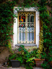 Picturesque and colorful window of an old building, with grate and plants