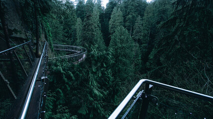 bridge over river in Vancouver 