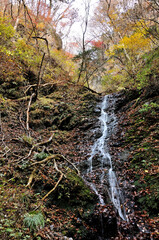 奥武蔵 武甲山の不動滝
