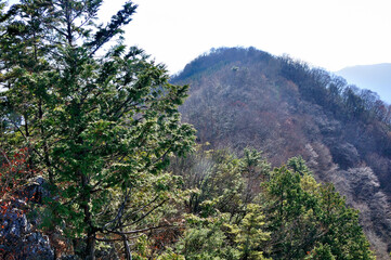 奥武蔵 雨乞岩より大持山を眺める