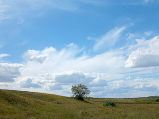 Rural landscape of blue sky in white clouds in the steppe near Odessa, hot summer day