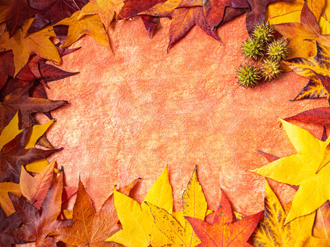 Recurso gráfico otoñal, con hojas de colores rojos y amarillos creando un marco con espacio libre en el medio.