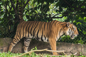 Taiping lake district and Zoo