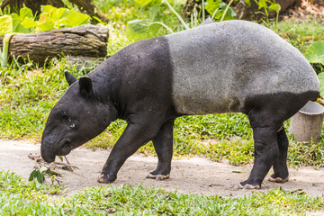 Taiping lake district and Zoo