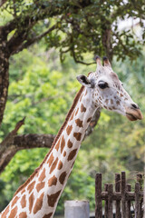 Taiping lake district and Zoo