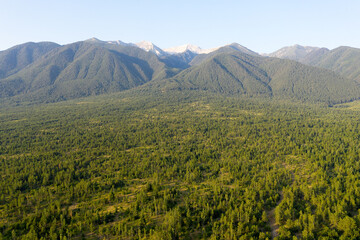 Fototapeta premium Aerial view from the drone. A stunning view of the mountain peaks in Bulgaria, shot from a drone in the morning at dawn. Travel and vacation concept.