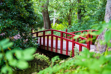 Red wooden bridge over small creek in green forest. Selective focus.