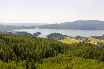 Fototapeta premium Beautiful authentic landscape, aerial view from drone. Coniferous forests on banks of Batak reservoir located in Rhodope Mountains, Bulgaria. Attracts many tourists, fishermen and hunters. Travel 