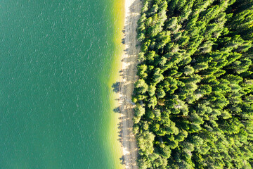 Beautiful landscape coniferous forest on the peaks of the Rhodope Mountains, Bulgaria. Travel and vacation concept.