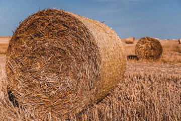 hay in round tables lies on the field