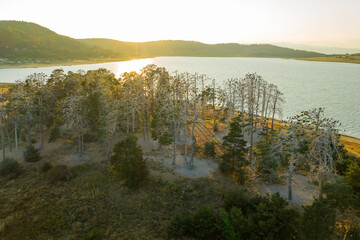 Beautiful lake, mountain peaks in light fog, aerial view from drone. Coniferous forests on banks of...