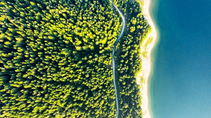 Aerial view of evergreen trees, texture of the top of the tree on the shore of a mountain lake and...