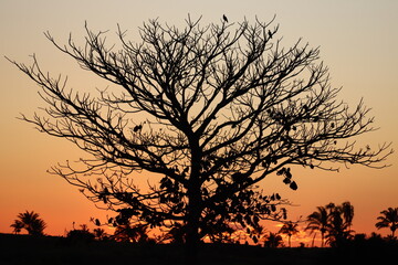 Obraz premium Por do sol.