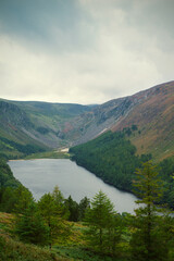 Fototapeta na wymiar Lake in Glendalough Valley located in the Wicklow Mountains National Park