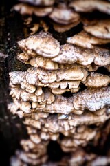 like a mountain to a microscope