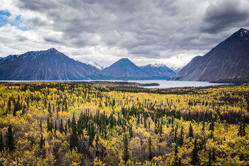 Stunning Haines Junction located in the northern Yukon Territory, Canada. Taken in the autumn with stunning yellow fall colored and snow capped mountains. 