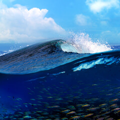 Fototapeta na wymiar Blue Ocean Wave moving to a shore over Coral reef with underwater view full of fish. Splashing crest water lip barrel