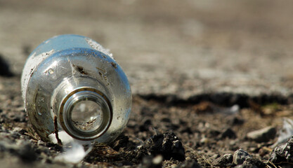 Bottle