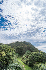 【静岡県伊豆半島】秋の高原風景【伊豆山稜線歩道・だるま山周辺】