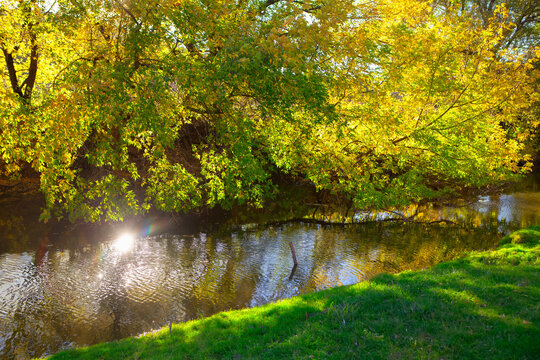 Picture of autumn nature with sunlight and little river