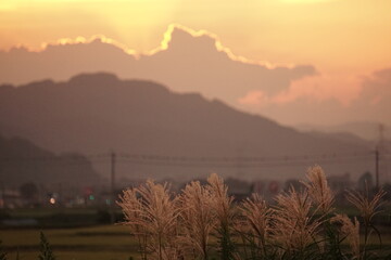 夕暮れの風景
