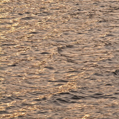 warm color shining sunset water surface