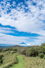 【静岡県伊豆半島】秋の高原風景【伊豆山稜線歩道・富士山】