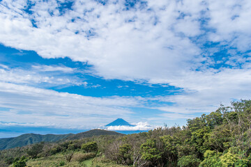 【静岡県伊豆半島】秋の高原風景【伊豆山稜線歩道・富士山】