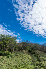 Fototapeta premium 【静岡県伊豆半島】秋の高原風景【伊豆山稜線歩道・だるま山周辺】