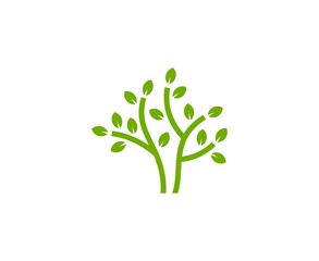 Fototapeta premium Tree logo 