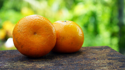 ripe apricots on a wooden table