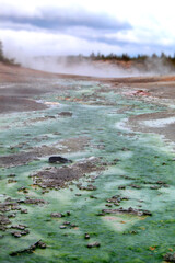 Hot Springs in Yellowstone