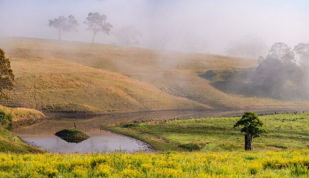A foggy day in the country with rural farmland and dam