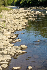 Several stones in the bed of the Noguera Pallaresa river, Municipality of La Pobla de Segur, province of Lérida, autonomous community of Catalonia, Spain