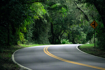 Beautiful, scenic road on Amelia Island in Florida