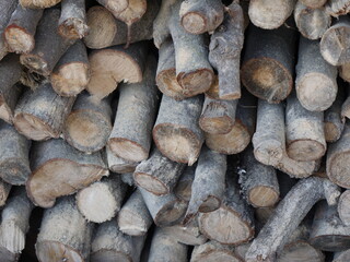 木材　薪