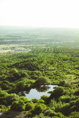 Naklejka premium lake in the forest in the highlands