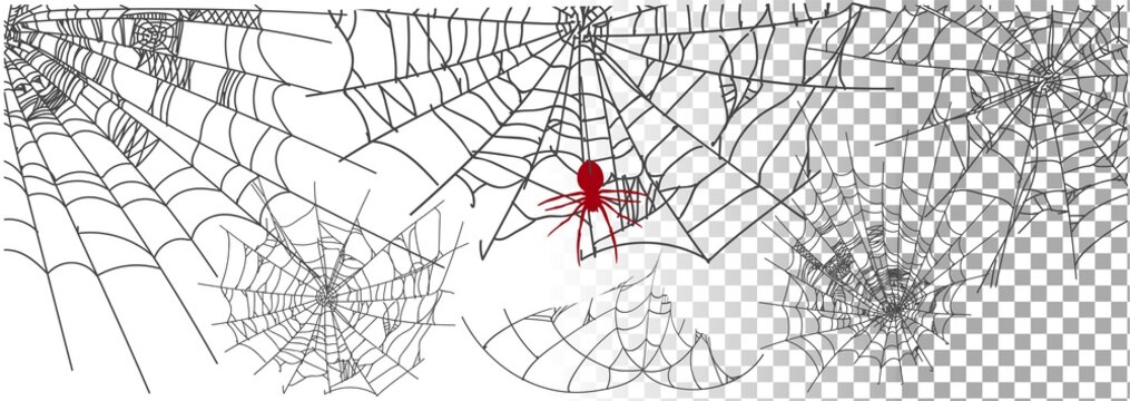 Set of different spiderwebs isolated on transparent background, easy to print. Halloween set with web. Vector Illustration.