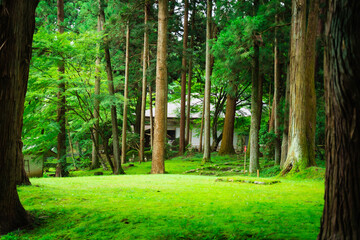 Temple of the guardian deity of Tohoku