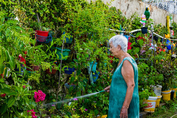 Idosa cuida do jardim como terapia para saúde mental