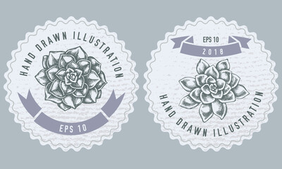 Monochrome labels design with illustration of succulent echeveria