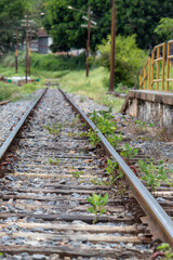 Fototapeta premium railway in the forest