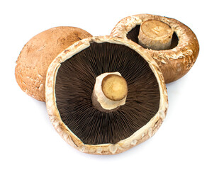 Three portobello mushrooms an isolated on white background