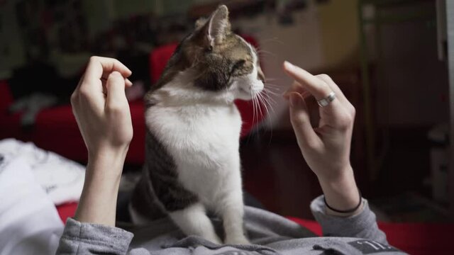 Girl cuddle her relaxed cat lying in bed in her bedroom closeup blurry background