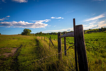 fence in the field