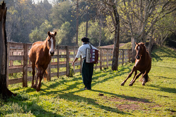 Gaucho playing harmonica among the horses.