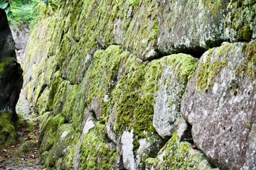 The view of stone wall with moss.