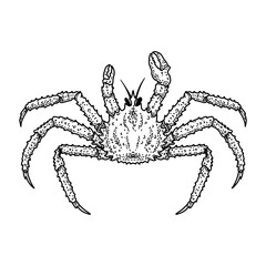Illustration of crab in engraving style. Design element for logo, emblem, sign, poster, card, banner. Vector illustration