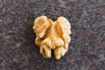 close-up of walnut kernel on kitchen counter